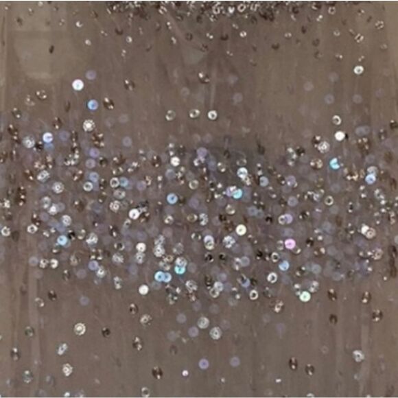 NWT Adrianna Papell Champagne Sheer Beaded Sequin Sleeveless Top Blouse S - Picture 16 of 16